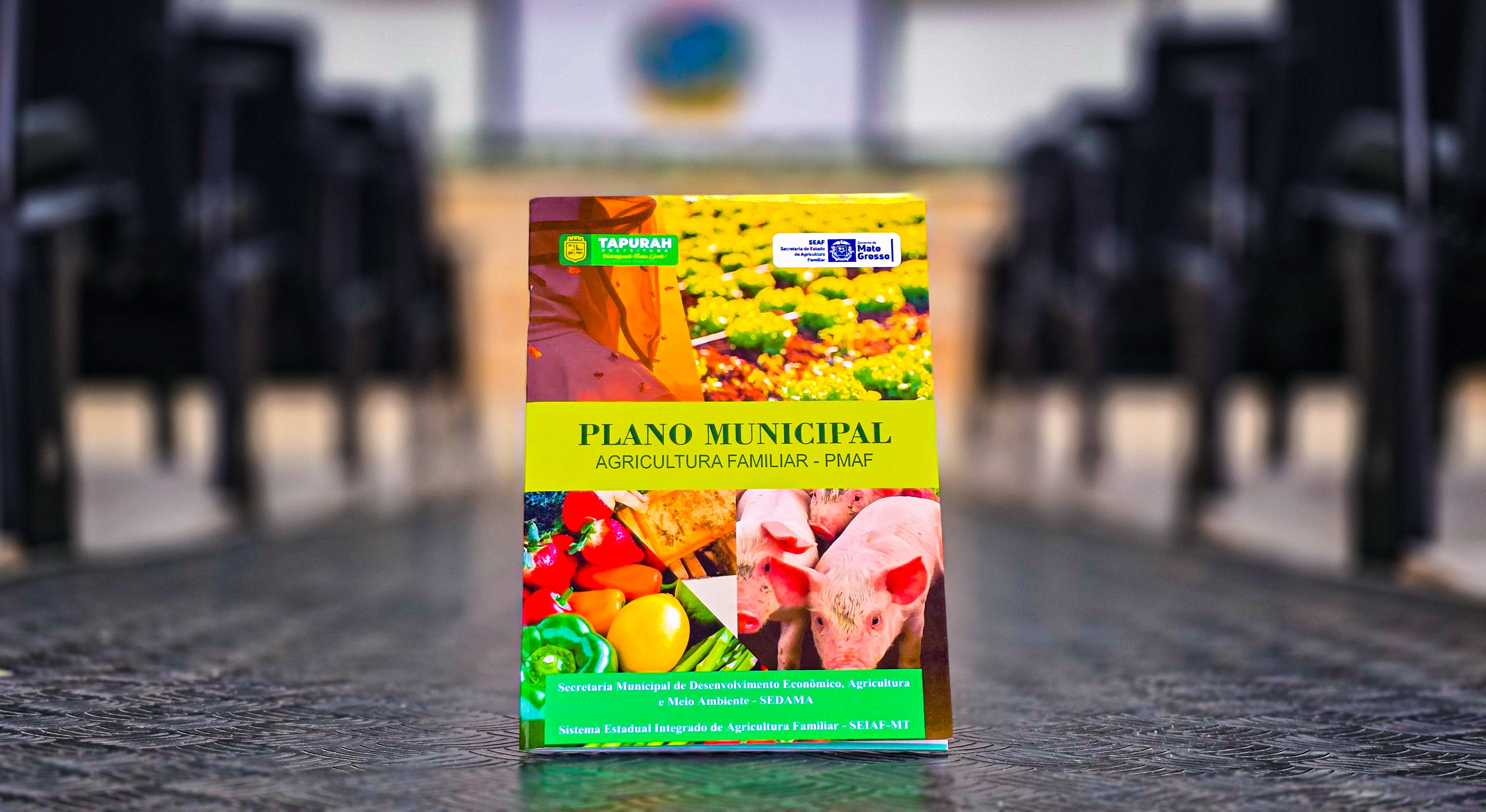 Décima Primeira Sessão Ordinária de 2026