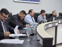 DÉCIMA SÉTIMA SESSÃO ORDINÁRIA DE 2025