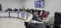 VIGÉSIMA QUINTA SESSÃO ORDINÁRIA DE 2025